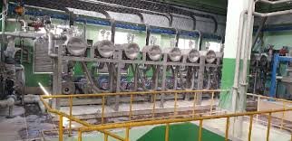 Corn Maize Starch Plant